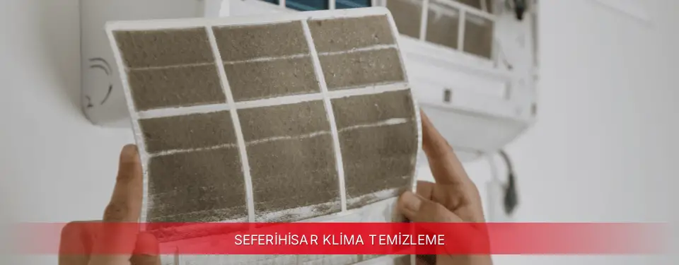 Seferihisar İlçemi Mitsubishi Electric Klima Temizleme